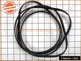 SIMPSON MINIMAX DRYER DRUM BELT PART # 0198001021